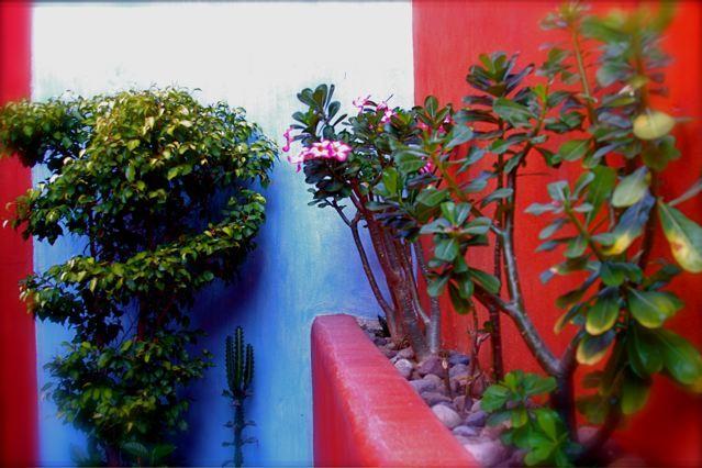 Villa Carolina Boutique Hotel Adults Only Zihuatanejo Exteriér fotografie